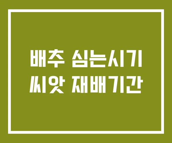 배추 심는시기 씨앗 재배기간