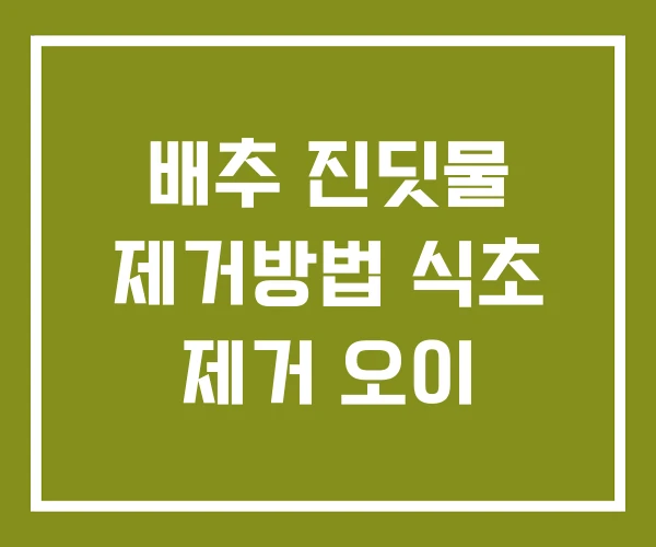 배추 진딧물 제거방법 식초 제거 오이
