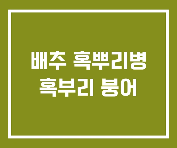 배추 혹뿌리병 혹부리 붕어