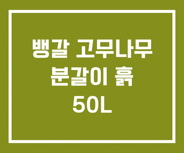 뱅갈 고무나무 분갈이 흙 50L