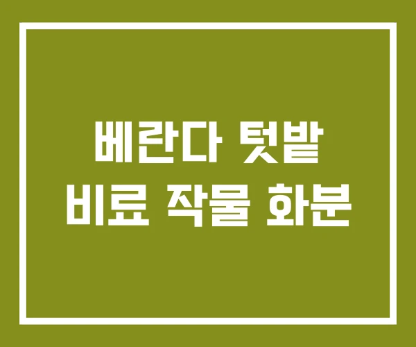 베란다 텃밭 비료 작물 화분