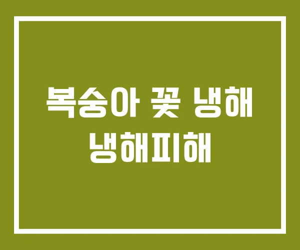 복숭아 꽃 냉해 냉해피해