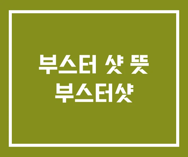 부스터 샷 뜻 부스터샷 부스터 샷 뜻 부스터샷