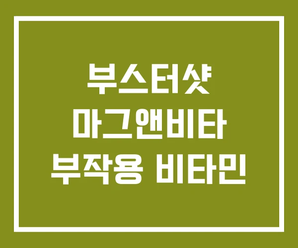 부스터샷 마그앤비타 부작용 비타민