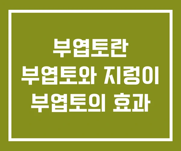 부엽토란 부엽토와 지렁이 부엽토의 효과
