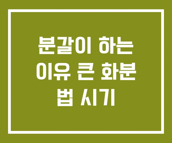 분갈이 하는 이유 큰 화분 법 시기 분갈이 하는 이유 큰 화분 법 시기