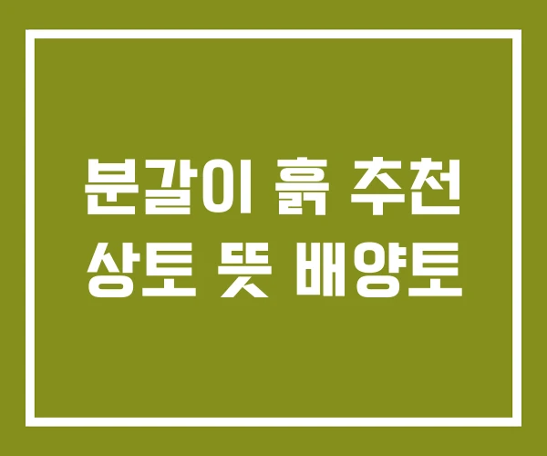 분갈이 흙 추천 상토 뜻 배양토 분갈이 흙 추천 상토 뜻 배양토