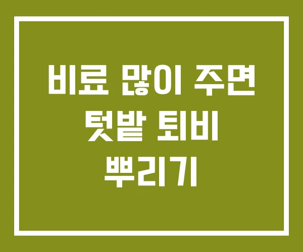 비료 많이 주면 텃밭 퇴비 뿌리기 비료 많이 주면 텃밭 퇴비 뿌리기
