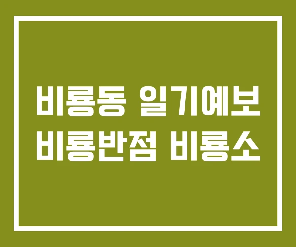 비룡동 일기예보 비룡반점 비룡소