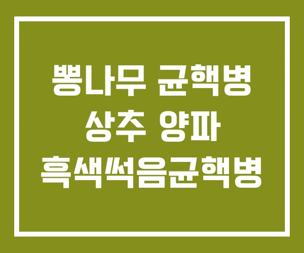 뽕나무 균핵병 상추 양파 흑색썩음균핵병 뽕나무 균핵병 상추 양파 흑색썩음균핵병