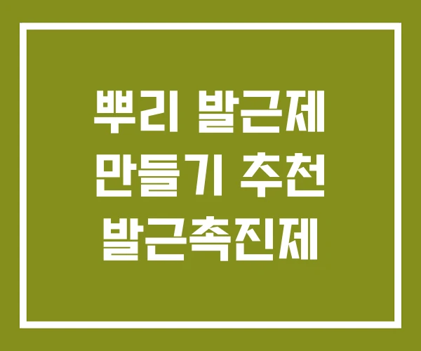 뿌리 발근제 만들기 추천 발근촉진제