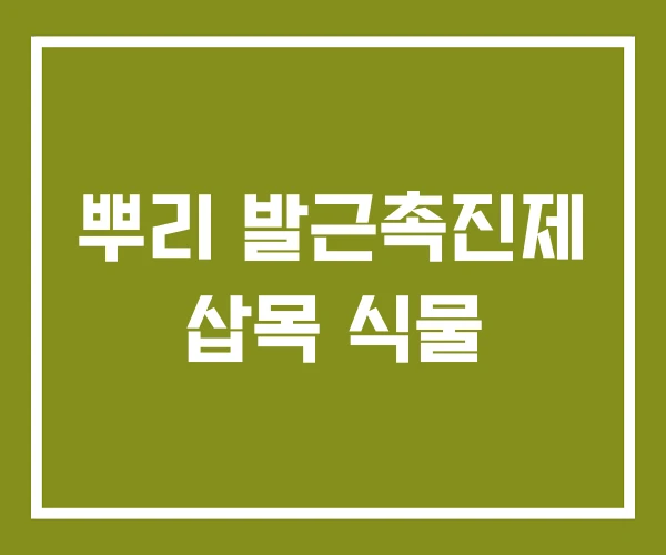 뿌리 발근촉진제 삽목 식물 뿌리 발근촉진제 삽목 식물