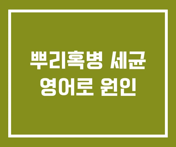 뿌리혹병 세균 영어로 원인 뿌리혹병 세균 영어로 원인