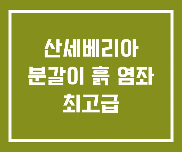 산세베리아 분갈이 흙 염좌 최고급 산세베리아 분갈이 흙 염좌 최고급