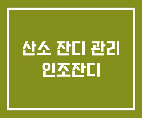 산소 잔디 관리 인조잔디 산소 잔디 관리 인조잔디