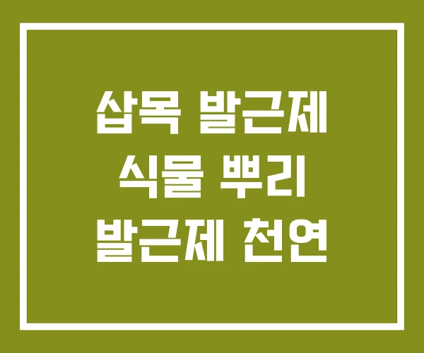 삽목 발근제 식물 뿌리 발근제 천연 삽목 발근제 식물 뿌리 발근제 천연