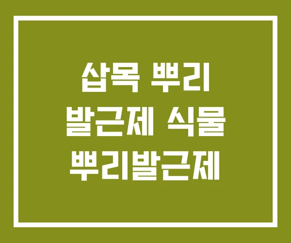 삽목 뿌리 발근제 식물 뿌리발근제