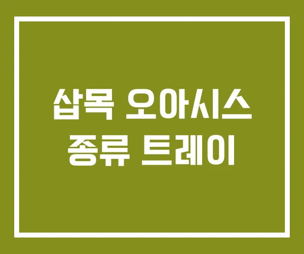 삽목 오아시스 종류 트레이