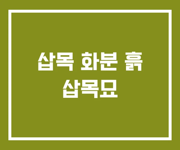 삽목 화분 흙 삽목묘