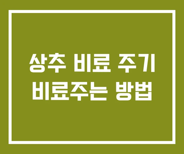 상추 비료 주기 비료주는 방법