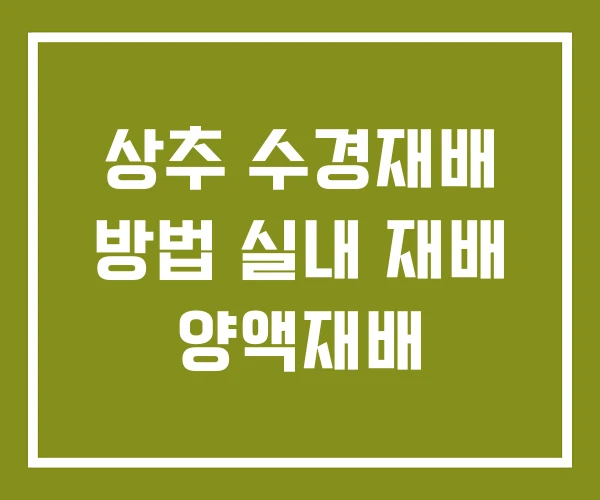 상추 수경재배 방법 실내 재배 양액재배