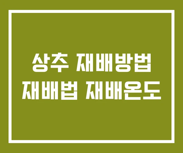 상추 재배방법 재배법 재배온도 상추 재배방법 재배법 재배온도