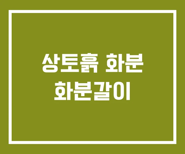상토흙 화분 화분갈이