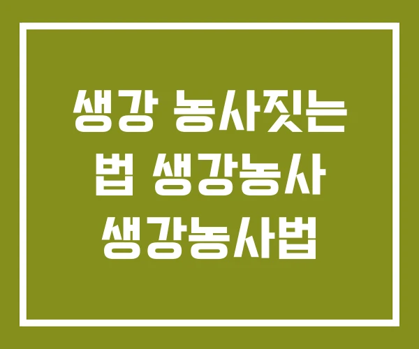 생강 농사짓는 법 생강농사 생강농사법