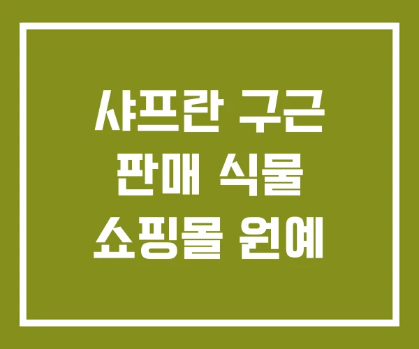 샤프란 구근 판매 식물 쇼핑몰 원예 샤프란 구근 판매 식물 쇼핑몰 원예