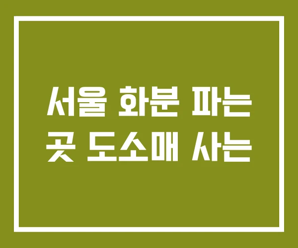 서울 화분 파는 곳 도소매 사는