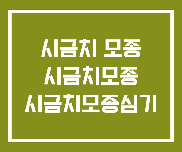 시금치 모종 시금치모종 시금치모종심기