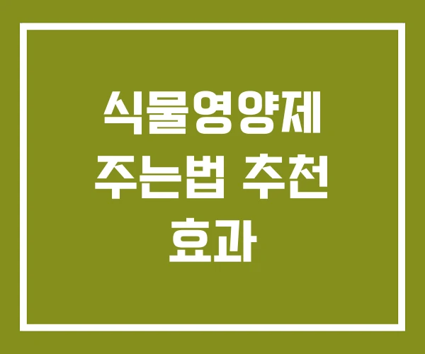 식물영양제 주는법 추천 효과