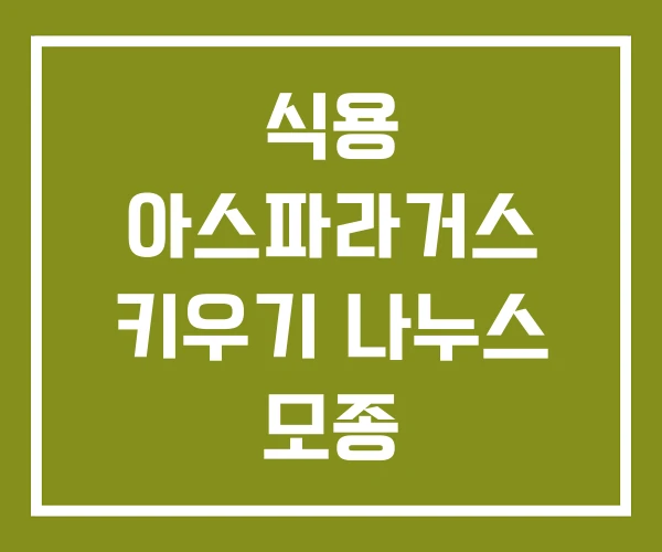 식용 아스파라거스 키우기 나누스 모종
