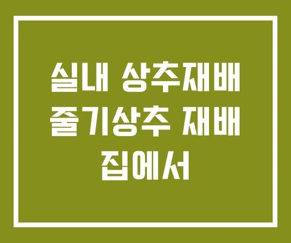 실내 상추재배 줄기상추 재배 집에서