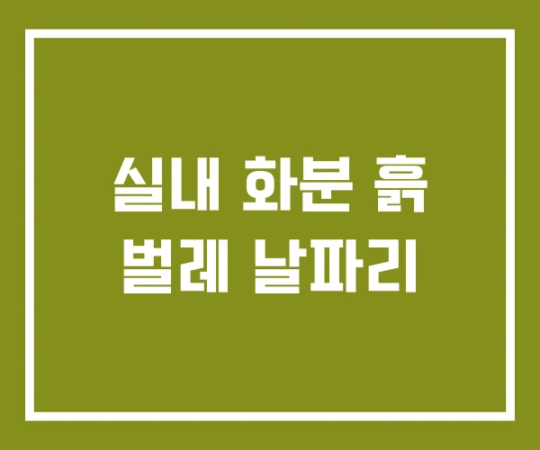 실내 화분 흙 벌레 날파리 실내 화분 흙 벌레 날파리