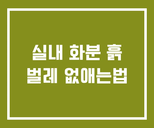 실내 화분 흙 벌레 없애는법 실내 화분 흙 벌레 없애는법
