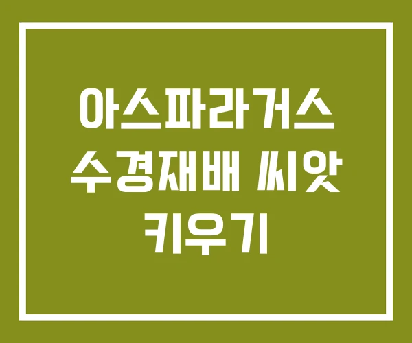 아스파라거스 수경재배 씨앗 키우기 아스파라거스 수경재배 씨앗 키우기