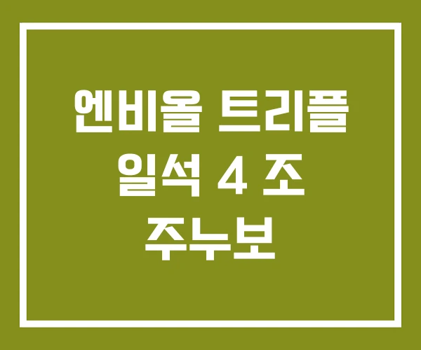 엔비올 트리플 일석 4 조 주누보