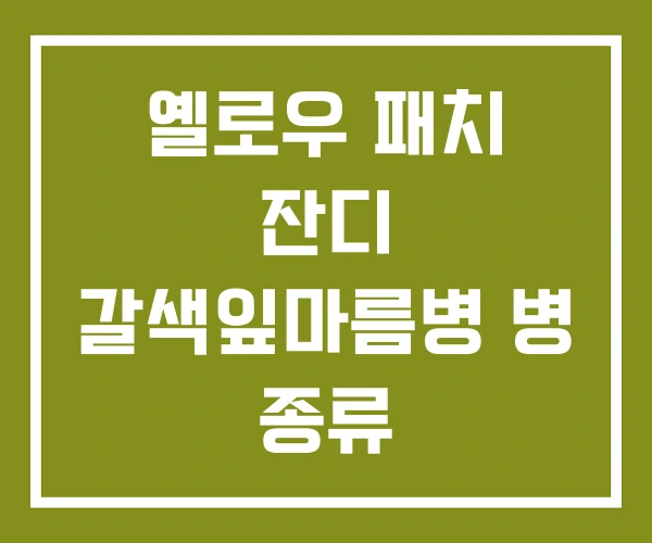 옐로우 패치 잔디 갈색잎마름병 병 종류