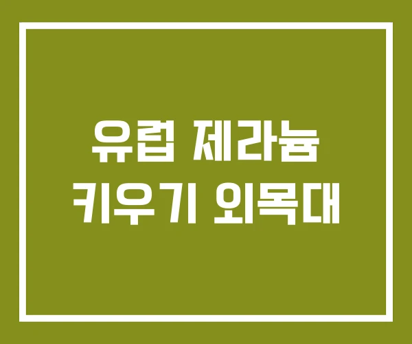 유럽 제라늄 키우기 외목대