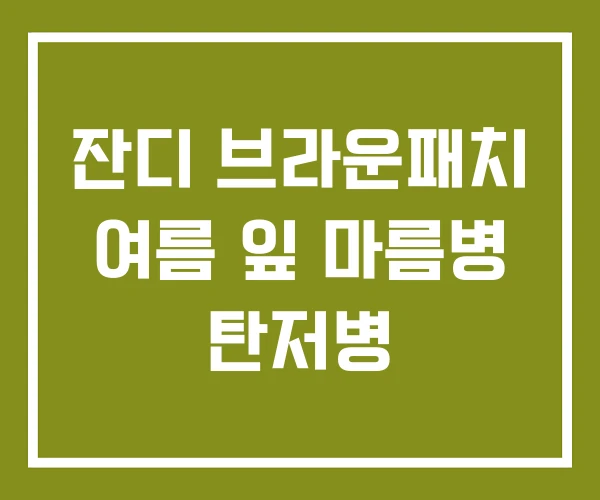 잔디 브라운패치 여름 잎 마름병 탄저병