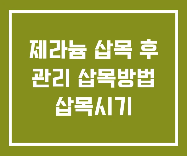 제라늄 삽목 후 관리 삽목방법 삽목시기 제라늄 삽목 후 관리 삽목방법 삽목시기