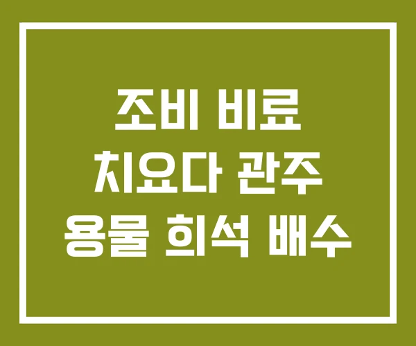 조비 비료 치요다 관주 용물 희석 배수
