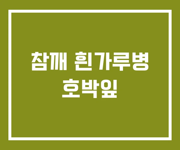 참깨 흰가루병 호박잎