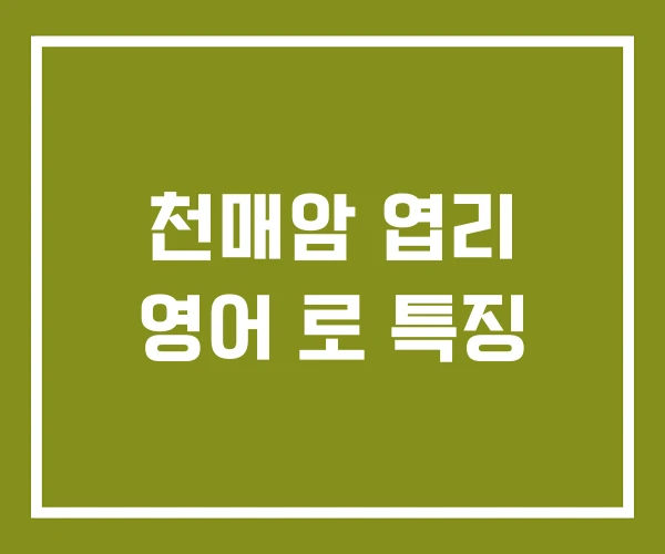 천매암 엽리 영어 로 특징 천매암 엽리 영어 로 특징