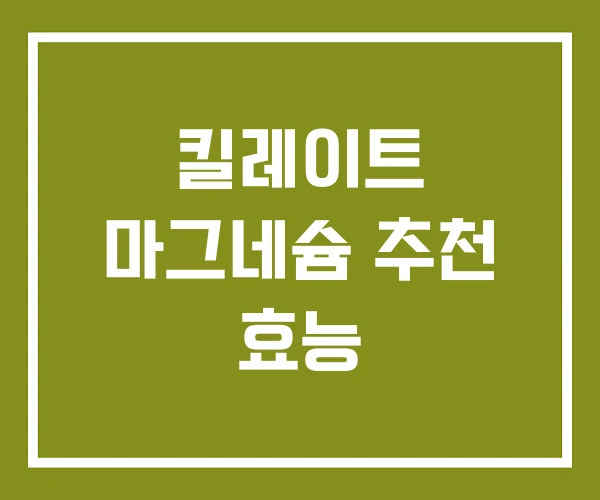킬레이트 마그네슘 추천 효능