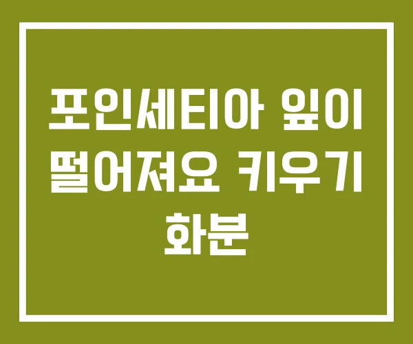 포인세티아 잎이 떨어져요 키우기 화분