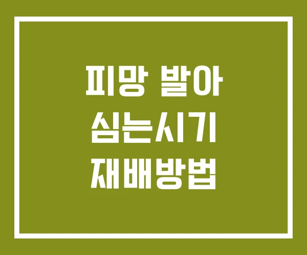 피망 발아 심는시기 재배방법