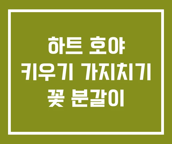 하트 호야 키우기 가지치기 꽃 분갈이 하트 호야 키우기 가지치기 꽃 분갈이