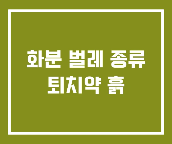 화분 벌레 종류 퇴치약 흙